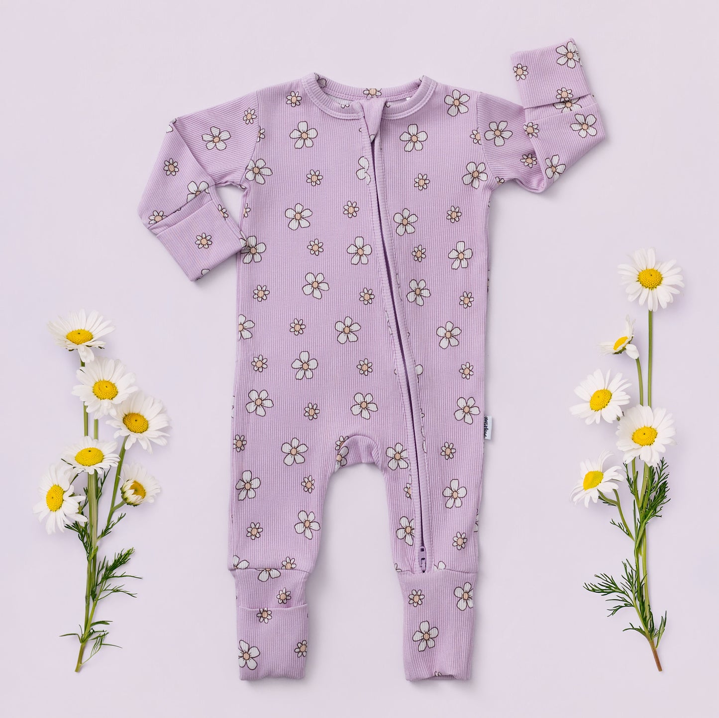 Ditzy Daisies (ribbed) Zippy