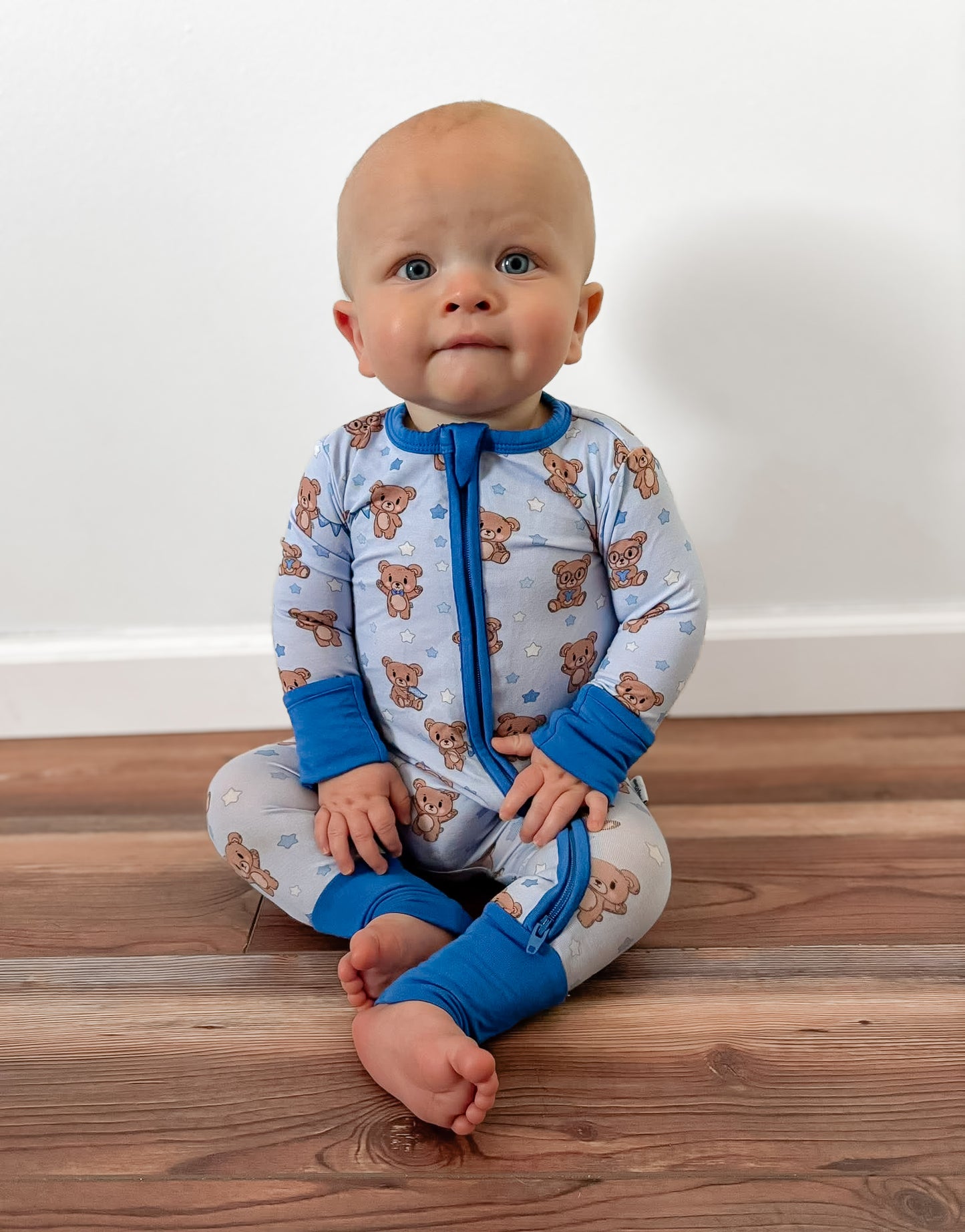 Blue Teddy Bear Zippy